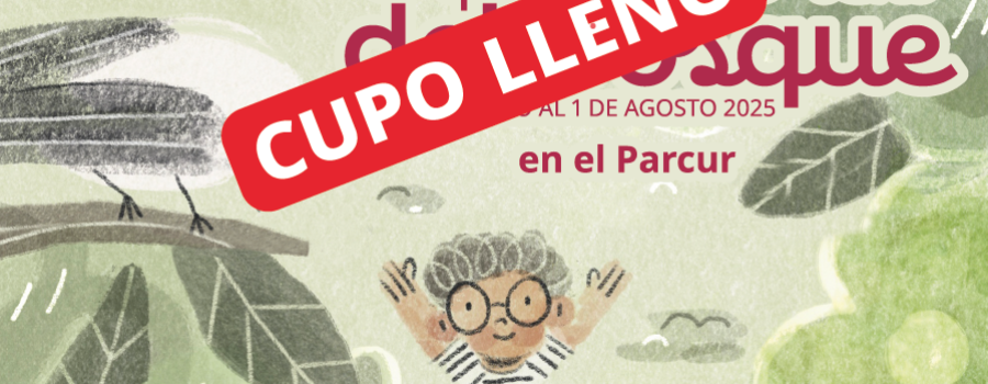 Explorando la gravedad