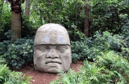 Imagen muestra de la actividad Parque museo la Venta
