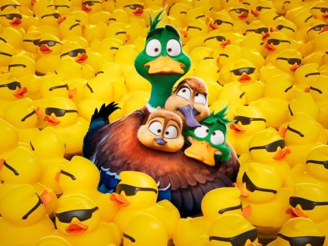 Patos