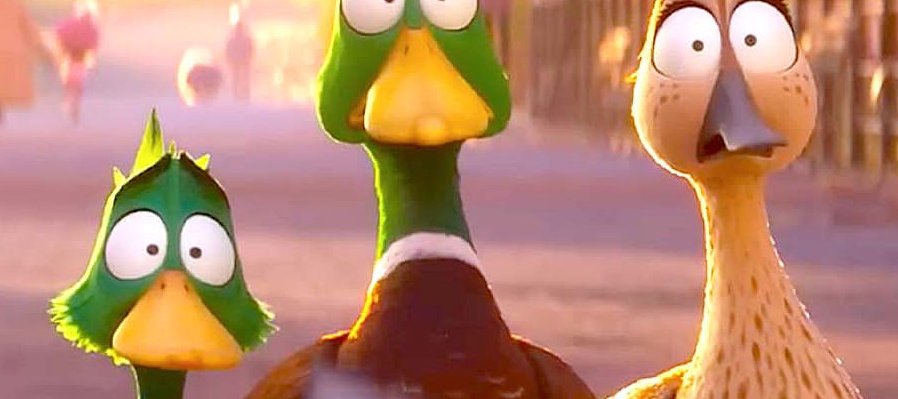 ¡Patos!