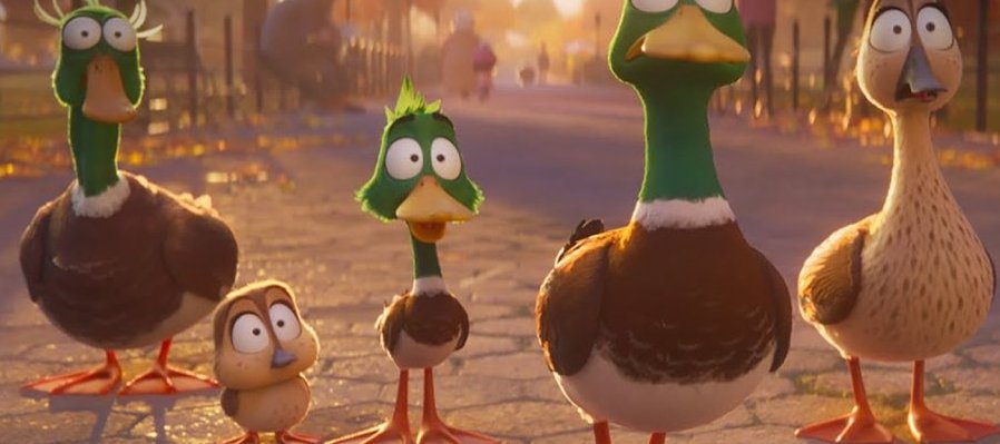 ¡Patos!