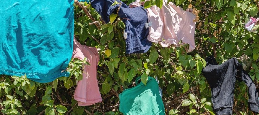 Pausas en el camino: Imágenes de la migración en México