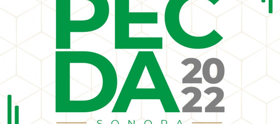 Programa de Estímulo a la Creación y Desarrollo Artístico (PECDA) Sonora