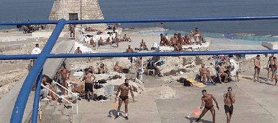 Y los peces vuelan sobre nuestras cabezas