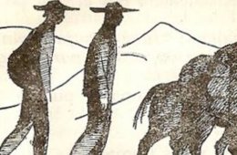 Imagen muestra de la actividad Pedro Páramo