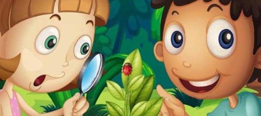 Pequeños naturalistas