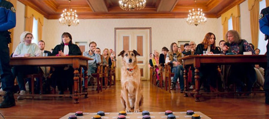 El juicio de un perro