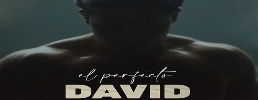 El perfecto David