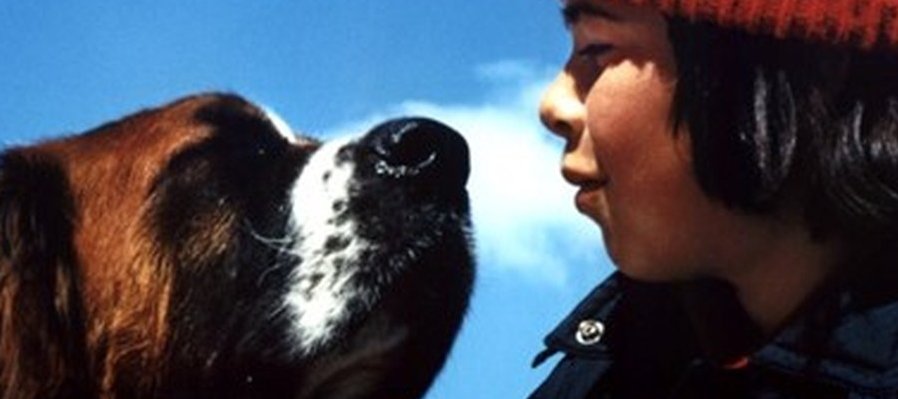 El perro que detuvo la guerra