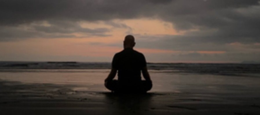Perseverancia: Un Ensayo Documental Sobre Tomás Sánchez