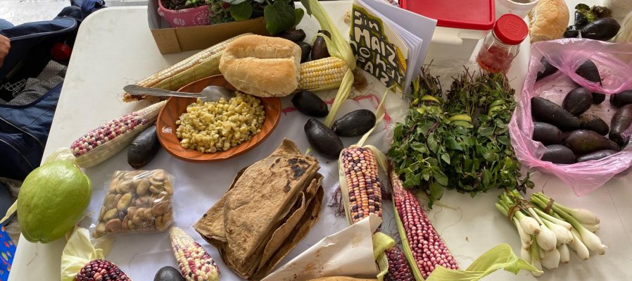 Tianguis del Trueque Tlaxcala
