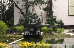 Imagen muestra de la actividad Domingos de Jardín MMAC
