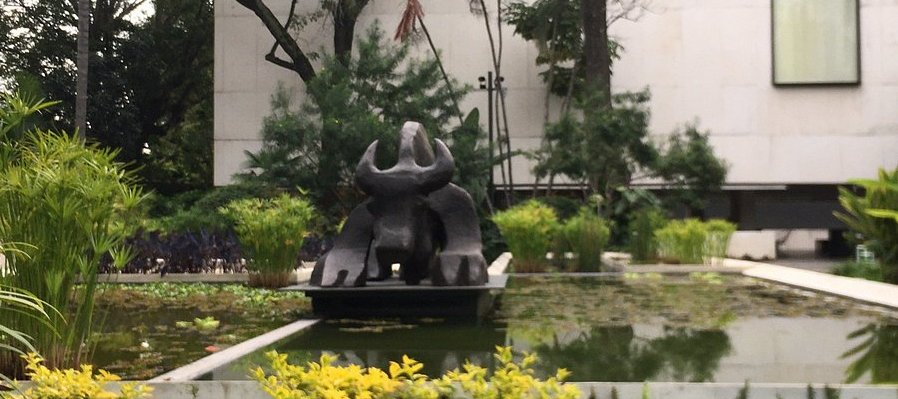Domingos de Jardín MMAC