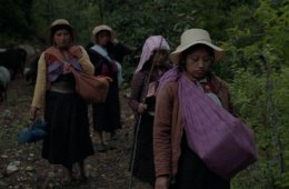 Imagen muestra de la actividad Formas de atravesar un territorio