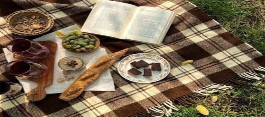 Picnic literario