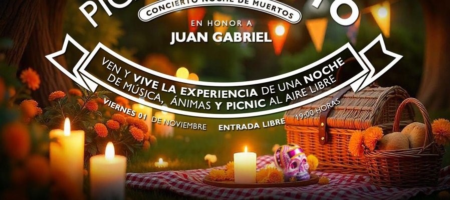 Picnic Tributo