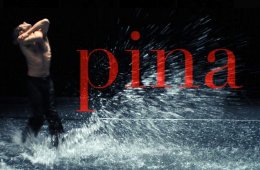 Imagen muestra de la actividad Pina