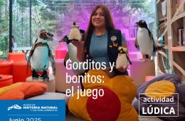 Imagen muestra de la actividad Gorditos y bonitos: el juego