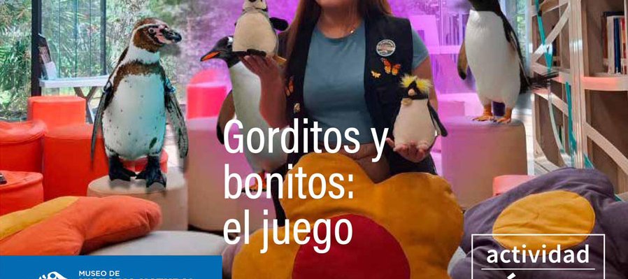 Gorditos y bonitos: el juego