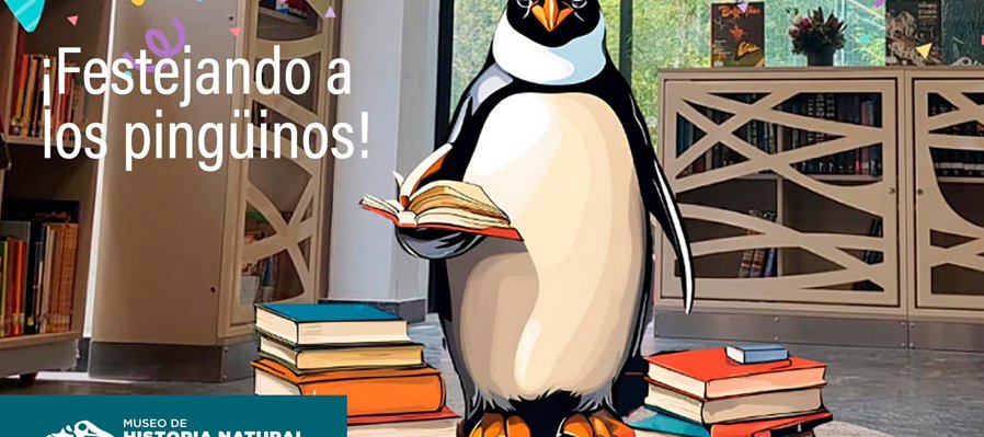 ¡Festejando a los pingüinos!