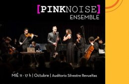 Imagen muestra de la actividad: PinkNoise-Ensamble