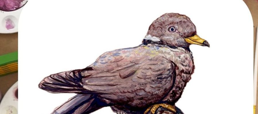Naturaleza indomita: Pintando aves y peces de México