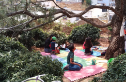 Imagen muestra de la actividad Punto de lectura. La casa en el árbol