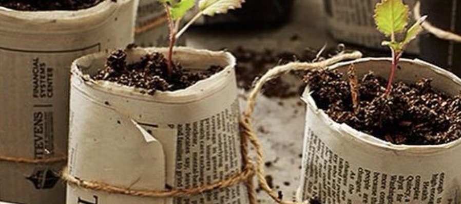 Plantarte verde: macetas ecológicas