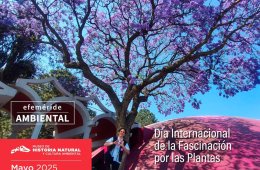 Día internacional de la fascinación por las plantas