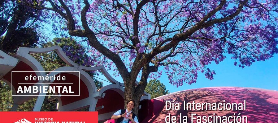Día internacional de la fascinación por las plantas