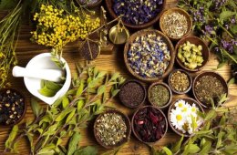 Imagen muestra de la actividad Uso de las flores y plantas medicinales en la época preh...