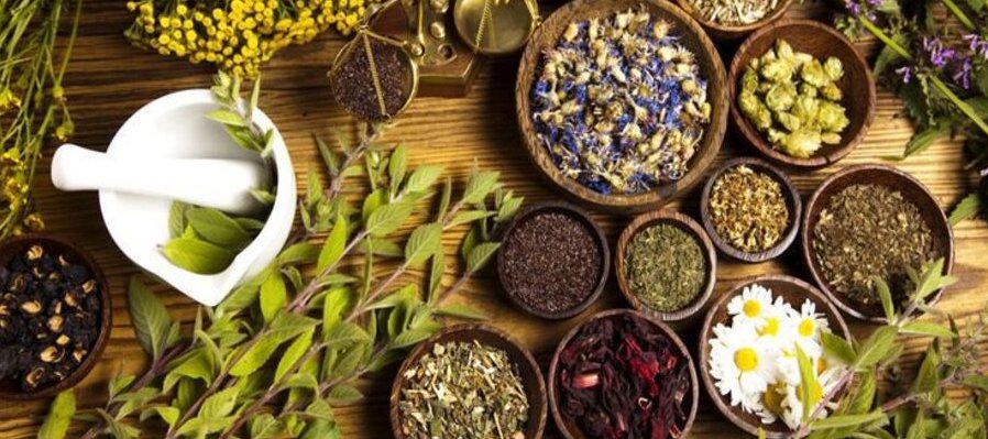 Uso de las flores y plantas medicinales en la época prehispánica