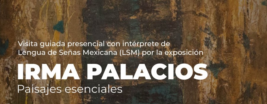 Noche de Museos | Irma Palacios. Paisajes esenciales