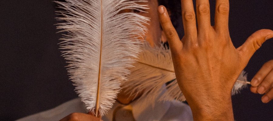 Pluma