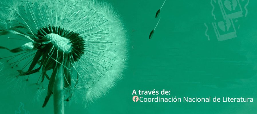 Nuevas voces de la literatura mexicana: Poesía