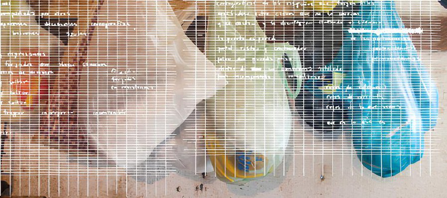 Poética indomesticada