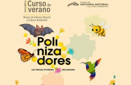 Imagen muestra de la actividad Polinizadores