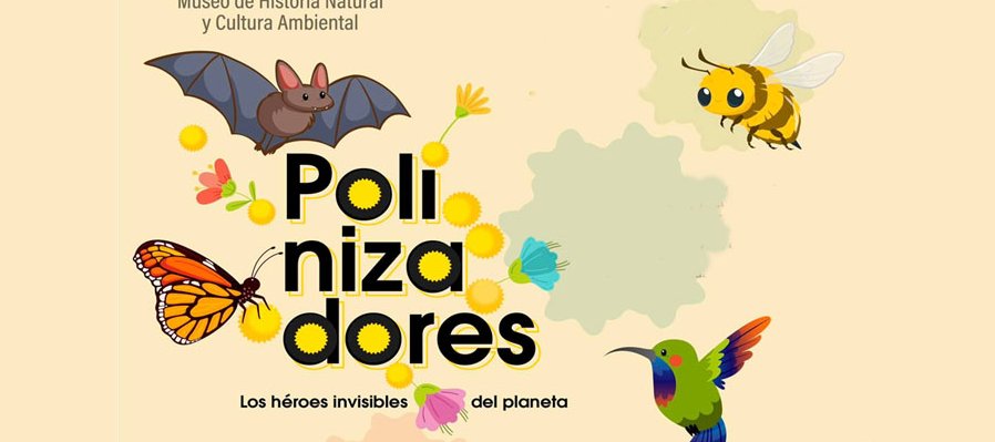 Polinizadores
