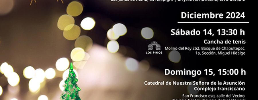 Fiesta decembrina