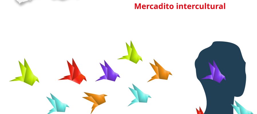 Reporte en migración