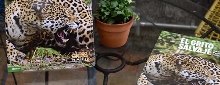 Presentación editorial El grito salvaje. La obra de Patricio Robles Gil