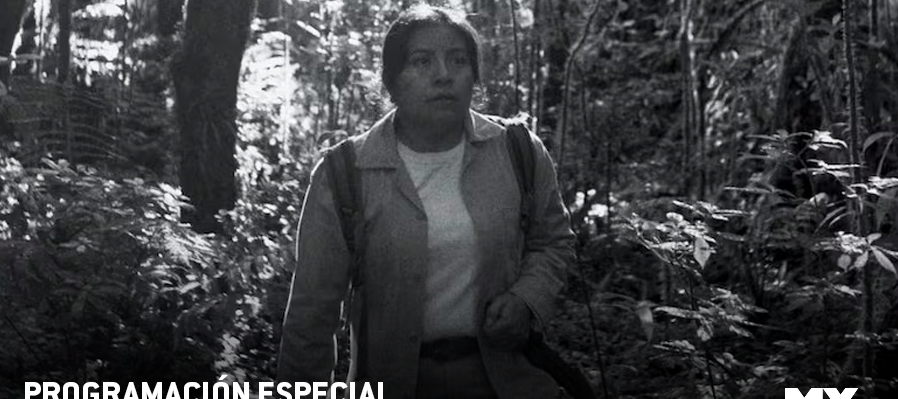 Programación especial Día mundial del Medio Ambiente. MX Nuestro Cine