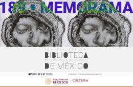 Imagen muestra de la actividad Memorama