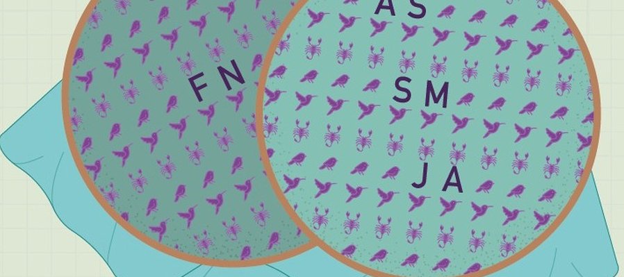 Puntos y letras