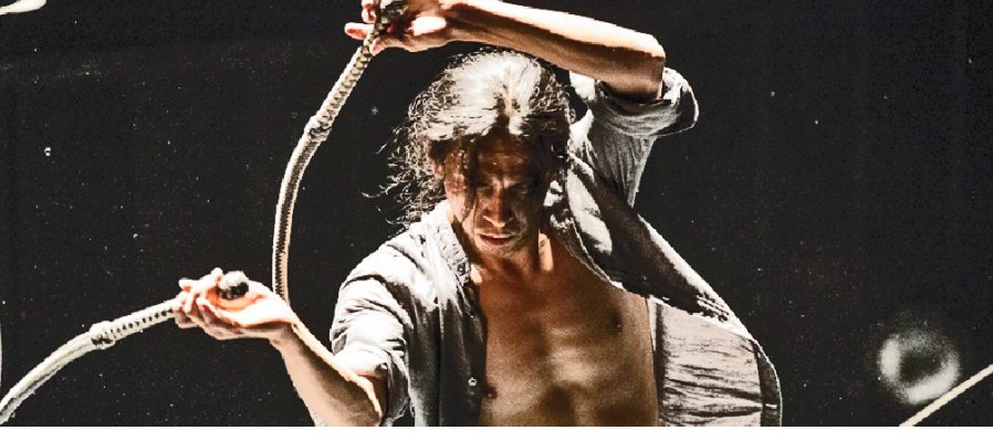 La danza, el chicote y otros objetos