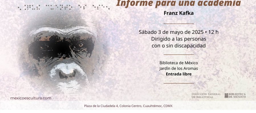 Informe para una academia