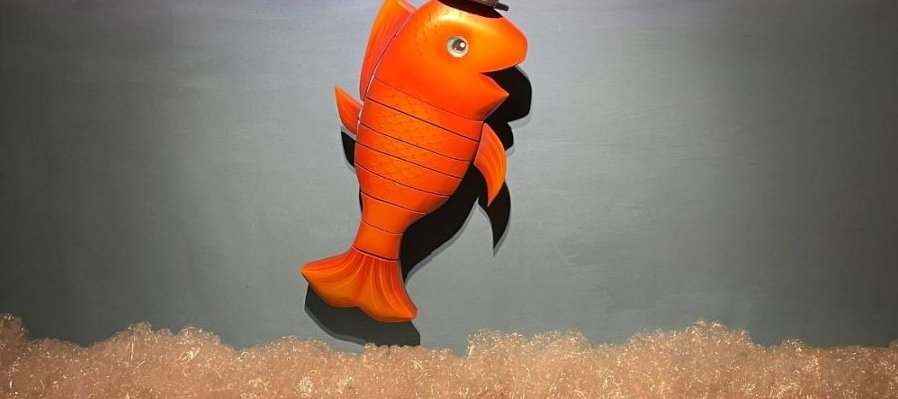 ¿Quién es el que anda aquí? ¡Es Cri-Cri!