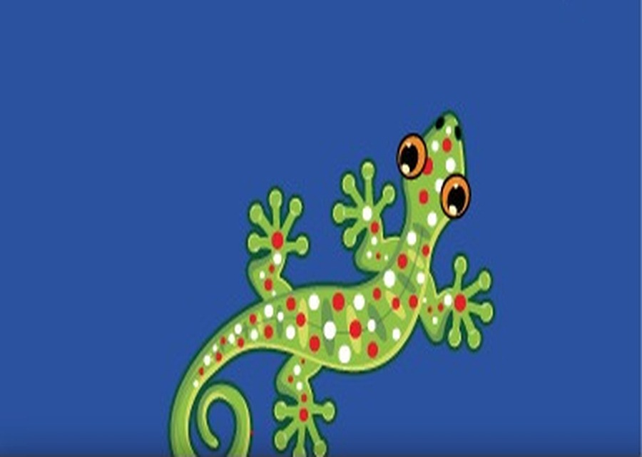 Imagen muestra de la actividad 