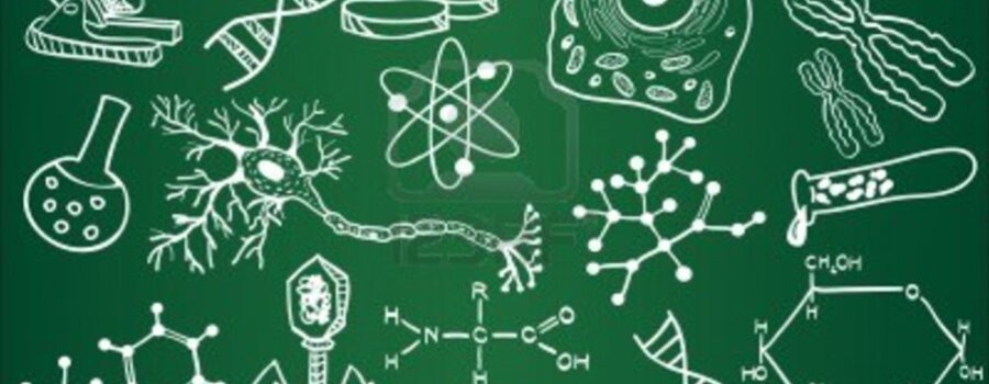 ¡Festejando a la biología!