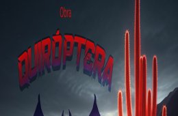 Imagen muestra de la actividad Quiróptera